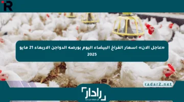 «عاجل الآن» أسعار الفراخ البيضاء اليوم بورصة الدواجن الأربعاء 21 مايو 2025